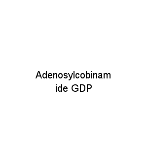 Adenosylcobinamide GDP